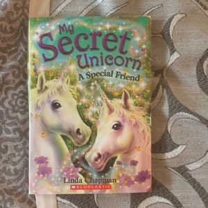 My secret unicorn book